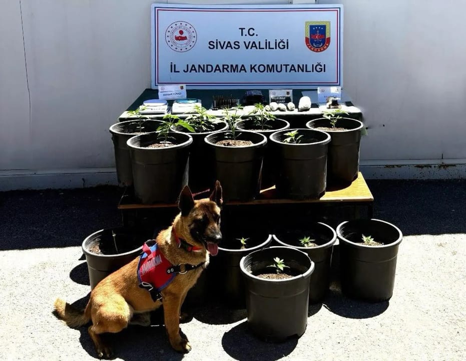 Sivas'ta uyuşturucu operasyonunda 5 zanlı yakalandı