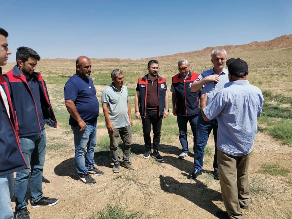 Kırıkkale'de 500 dekarlık mera alanına tuz çalısı dikimi başladı