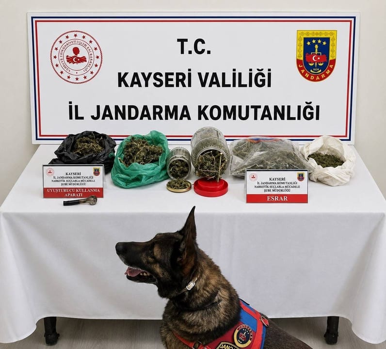 Uyuşturucu ticareti yapan şahıs jandarma ekiplerince yakalandı