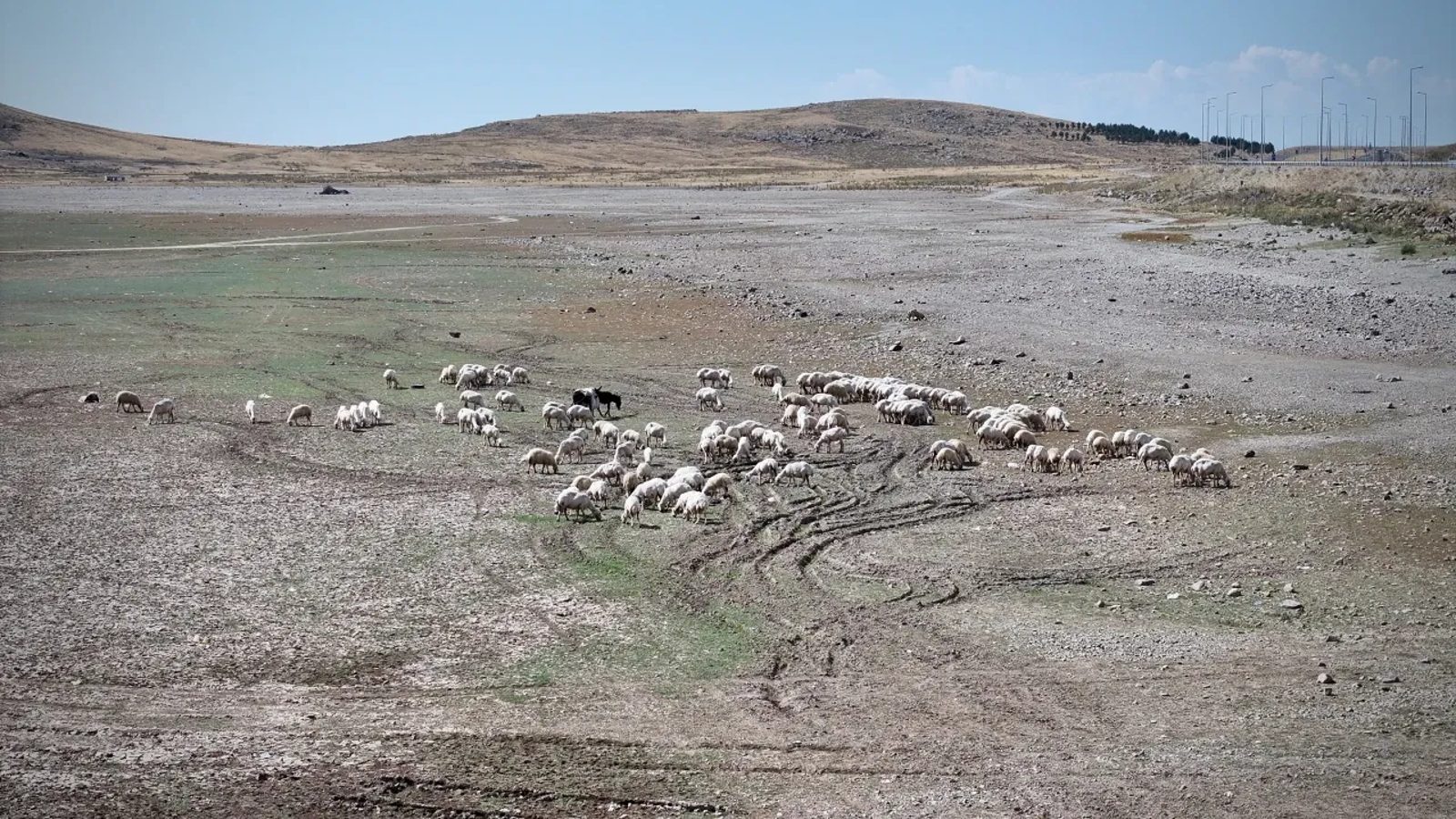 Erciyes'teki Tekir Göleti büyük ölçüde kurudu