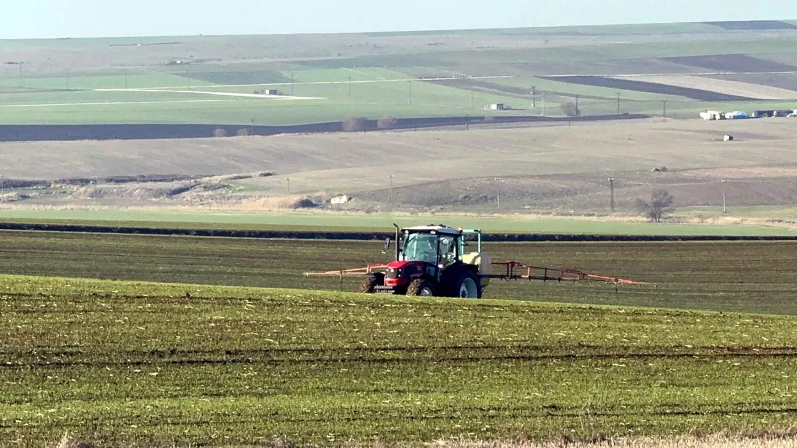 Prof. Dr. Orta: Trakya'da son 6 aydır çok ciddi bir kuraklık yaşadık