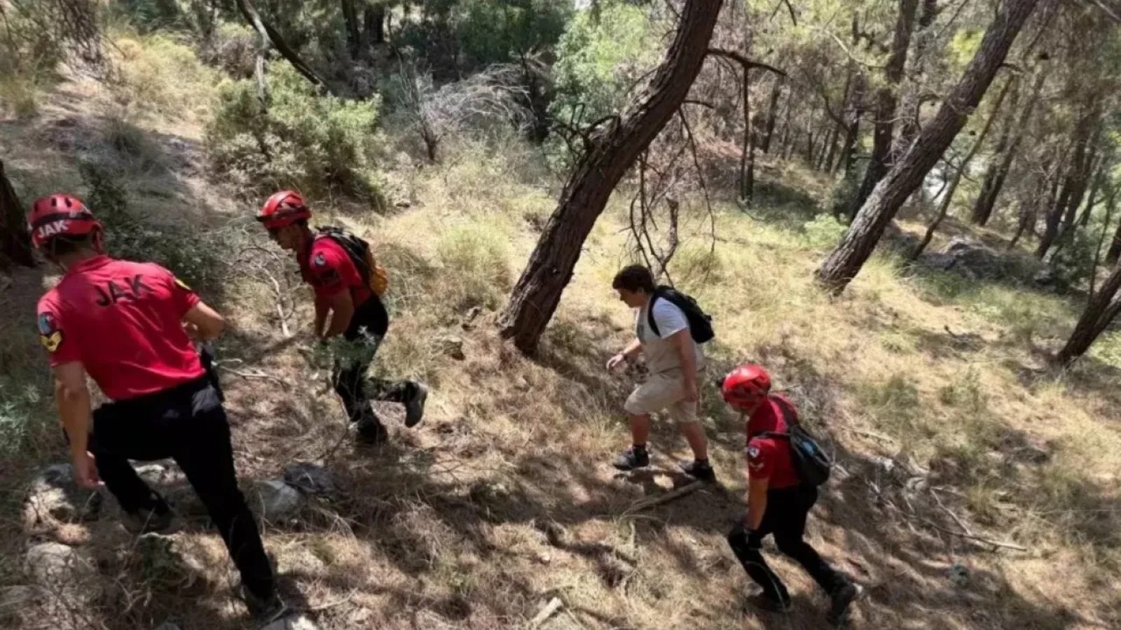 Kırşehir'de 4 gündür kayıp olan yaşlı adam ormanda ölü bulundu