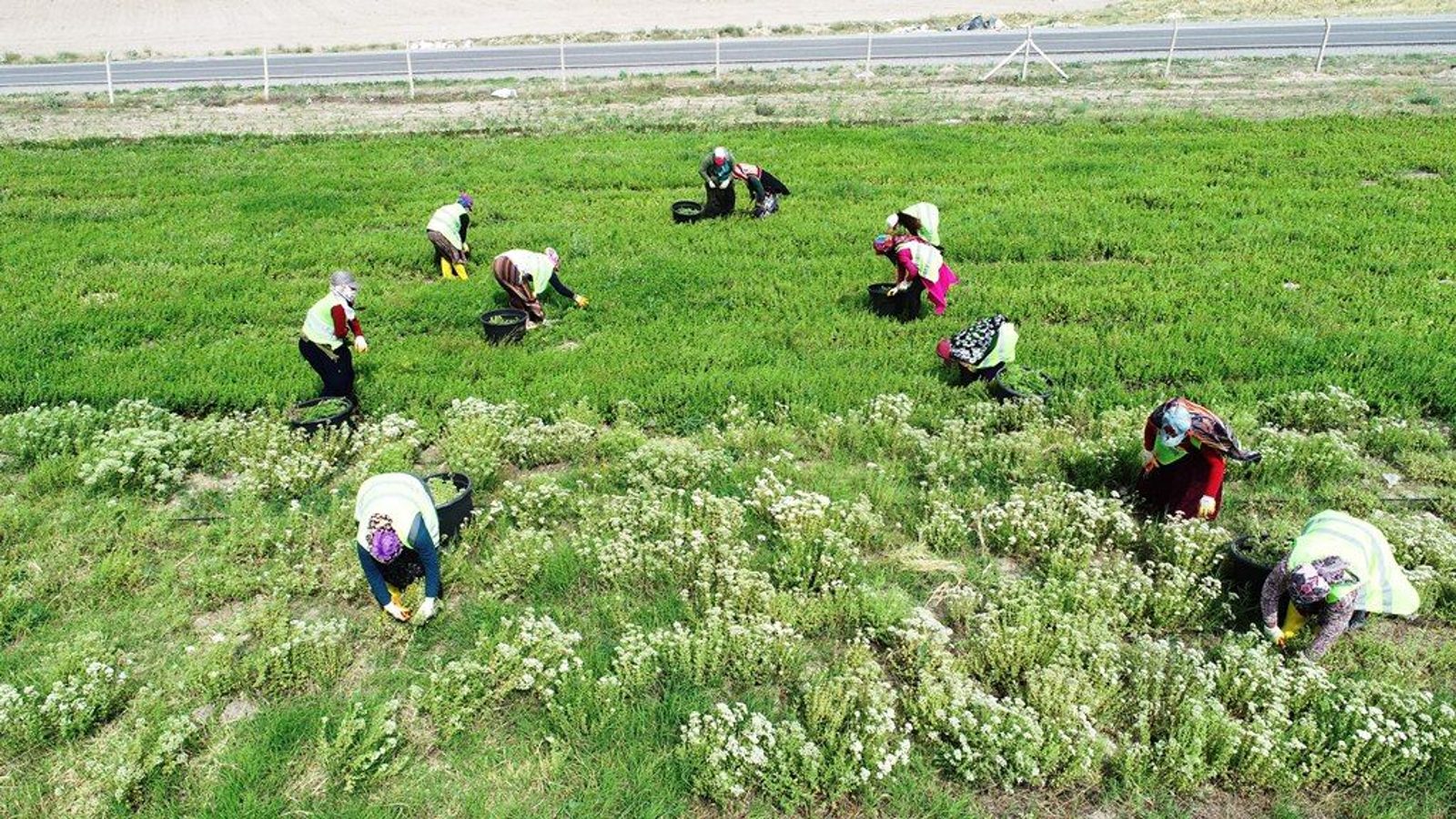 Kocasinan’da 150 bin kadına eğitim ve destek