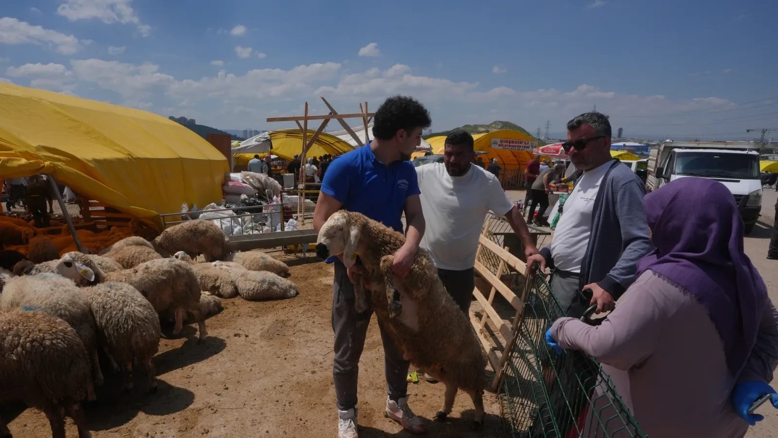 Ankara'da kurban pazarları ve kesimhanelerde yoğunluk yaşanıyor