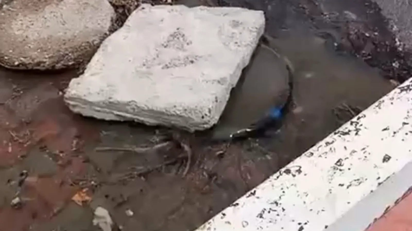 İncesu Bahçelievler'de rögar taşması sorunu