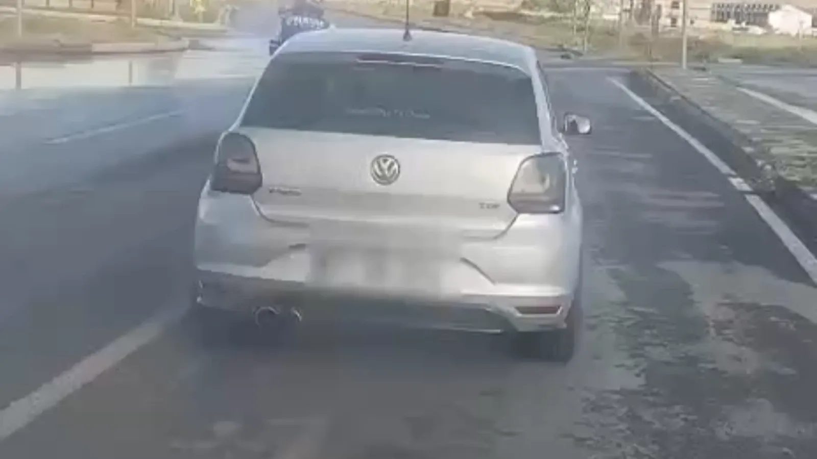 Kayseri'de Şehir Hastanesi yolunda mürekkep balığı bulundu