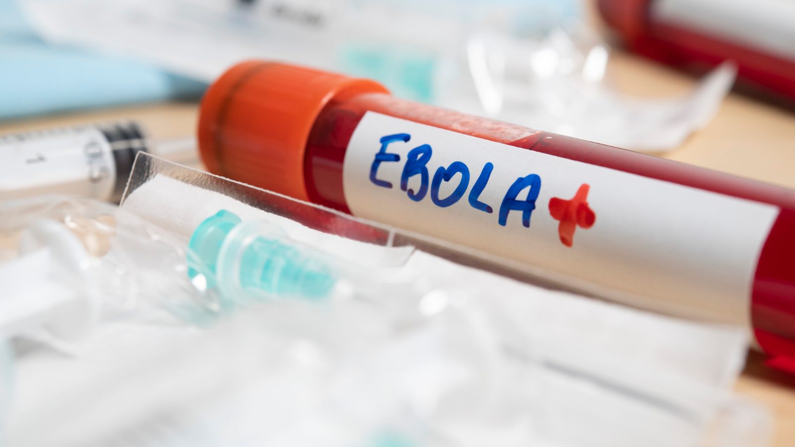 Ebola salgınında korkutan tablo