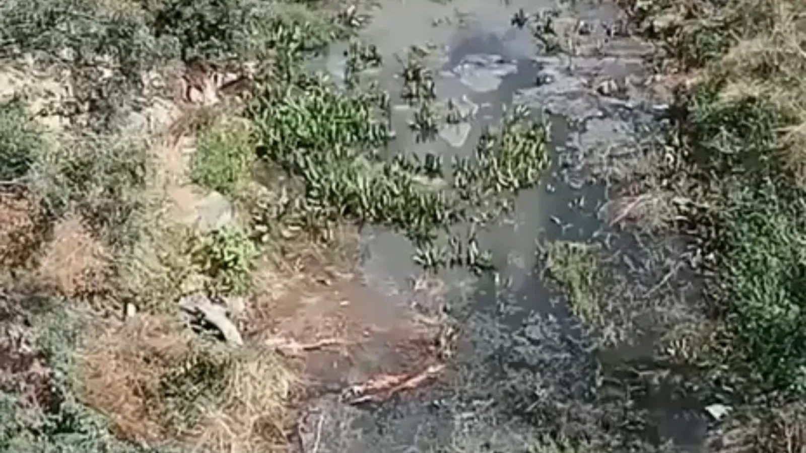 Bahçelievler Mahallesi Esnaf TOKİ'de lağım suyu sorunu
