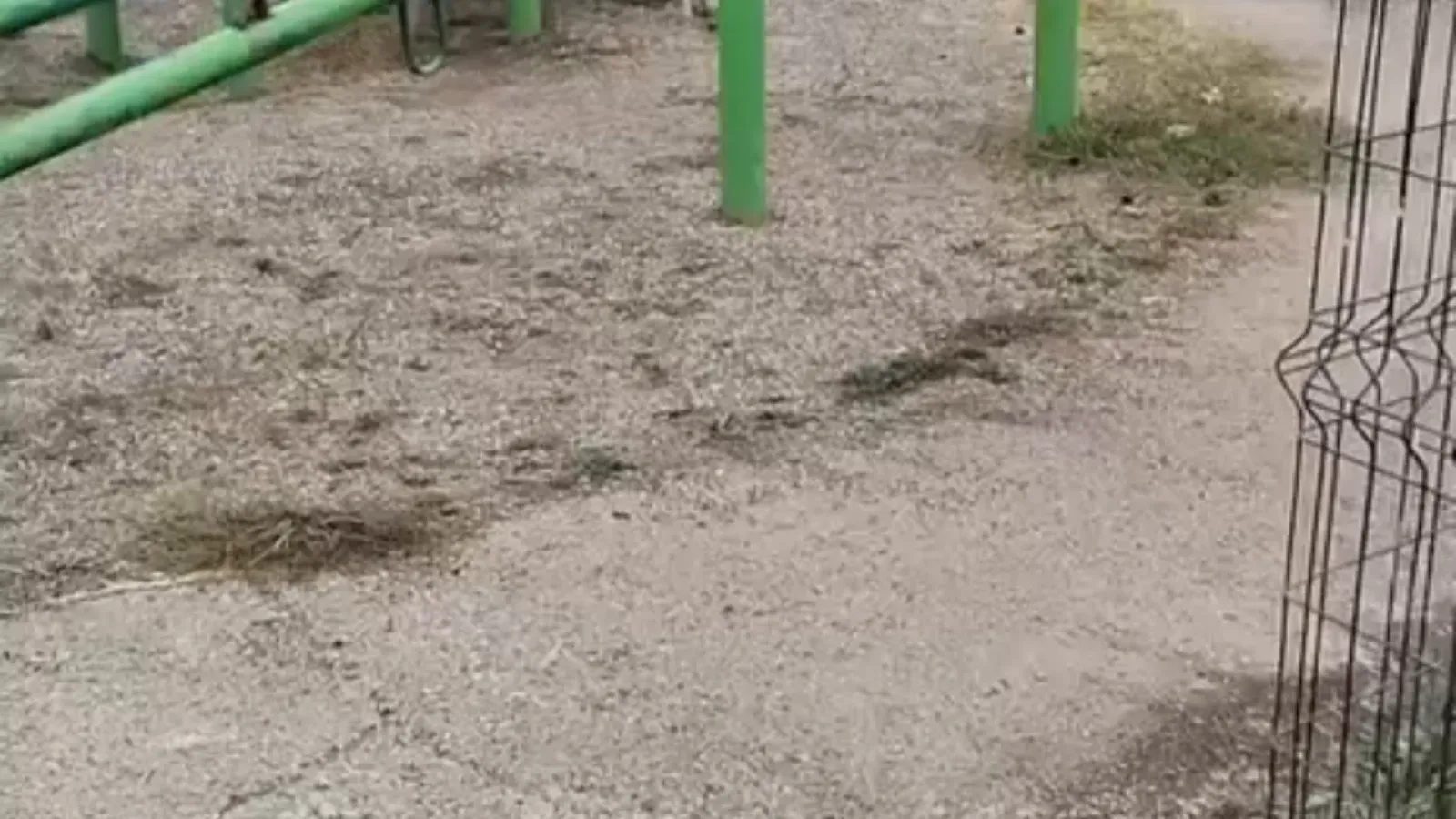 Demokrasi Mahallesi'ndeki park bakımsız, salıncak kırık
