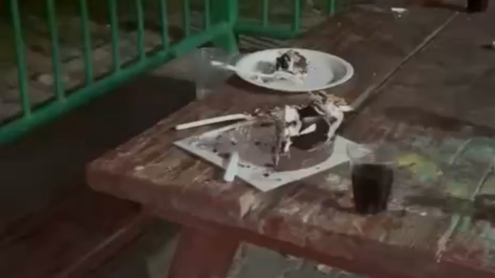 Kayseri'deki parklar temiz bırakılmalı, ortak alanlar korunmalı