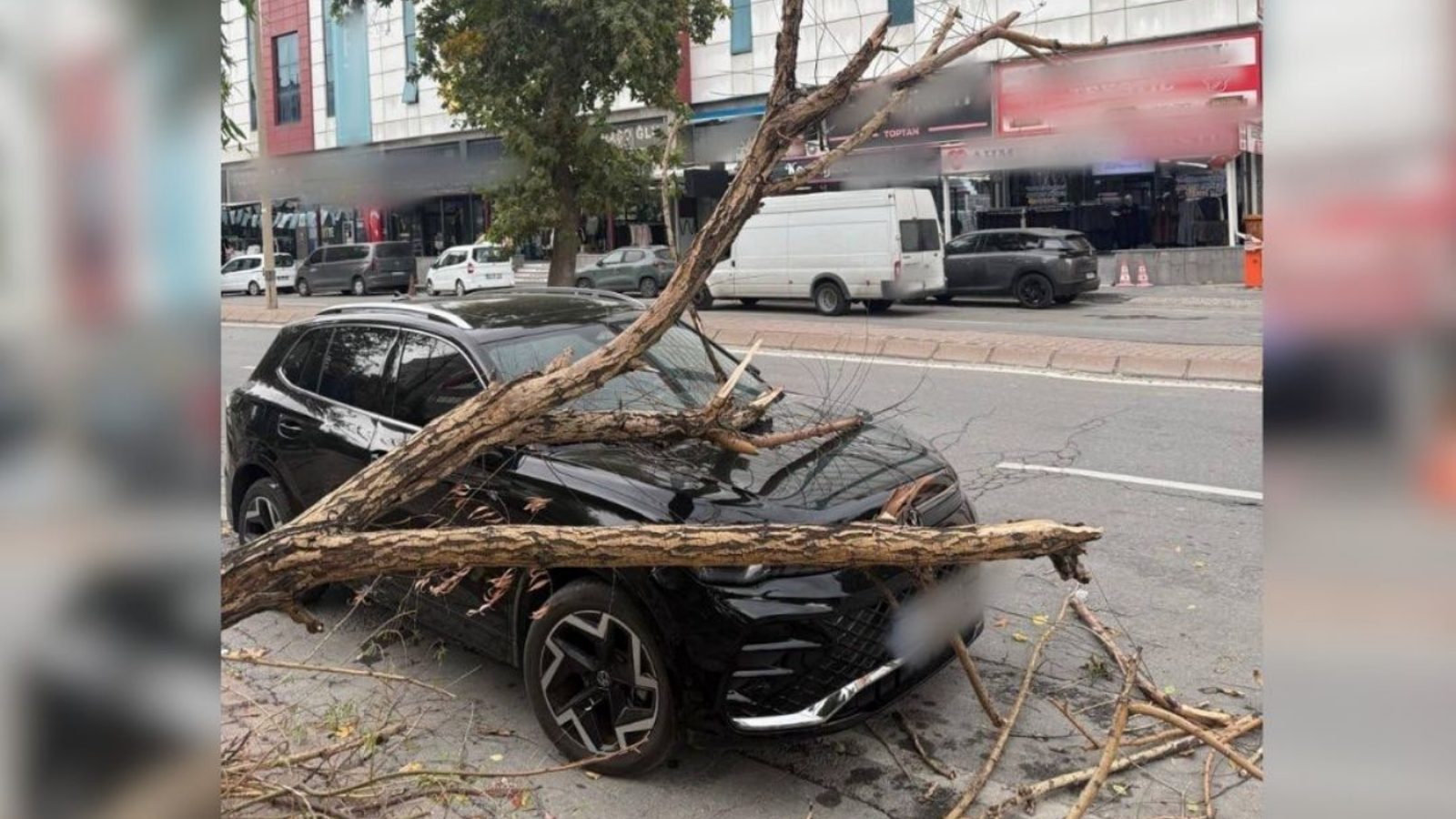Düvenönü'nde ağaç otomobilin üzerine devrildi