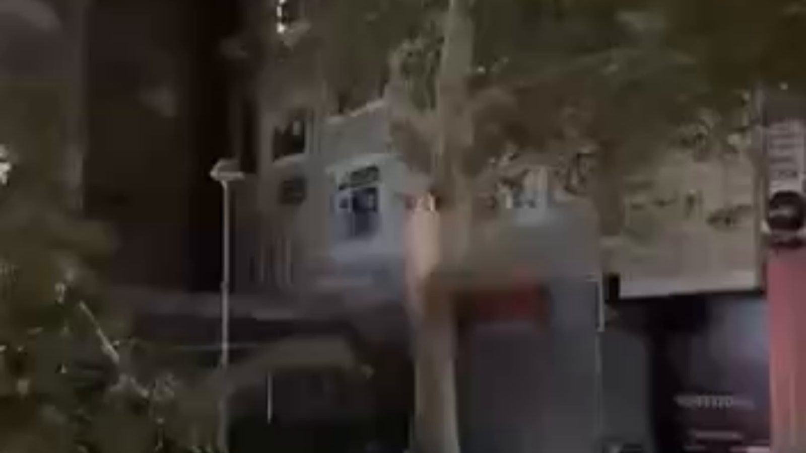 27 Mayıs Caddesi'nde ağaç aracın üzerine devrildi