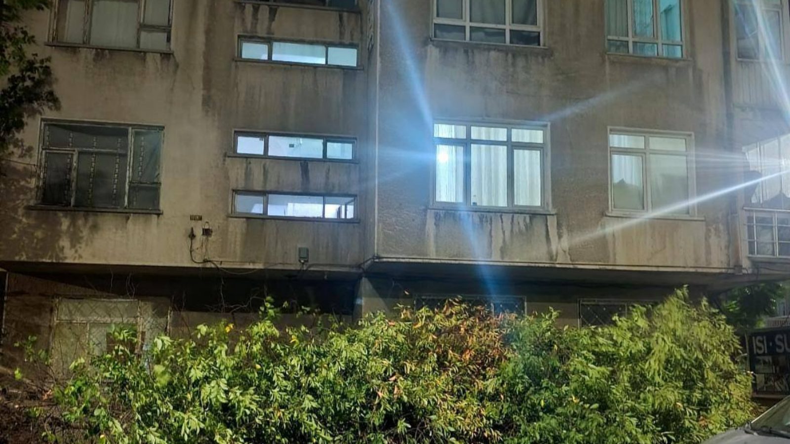 Fevzi Çakmak Mahallesi'nde ağaç devrildi