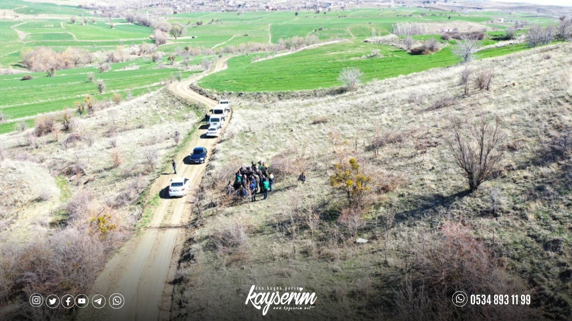 Yabani alıç ağaçları, ekonomik değere dönüşüyor