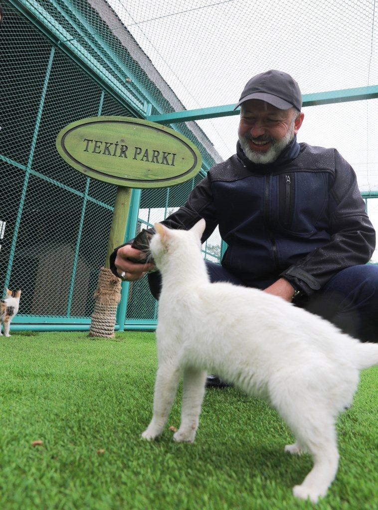 KÜÇÜK DOSTLAR KEDİ KASABASI YARIN AÇILIYOR