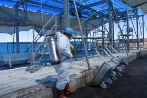 KOCASİNAN’IN KURBAN KESİM YERLERİNDE 722 BÜYÜKBAŞ, 800 KÜÇÜKBAŞ KESİLDİ