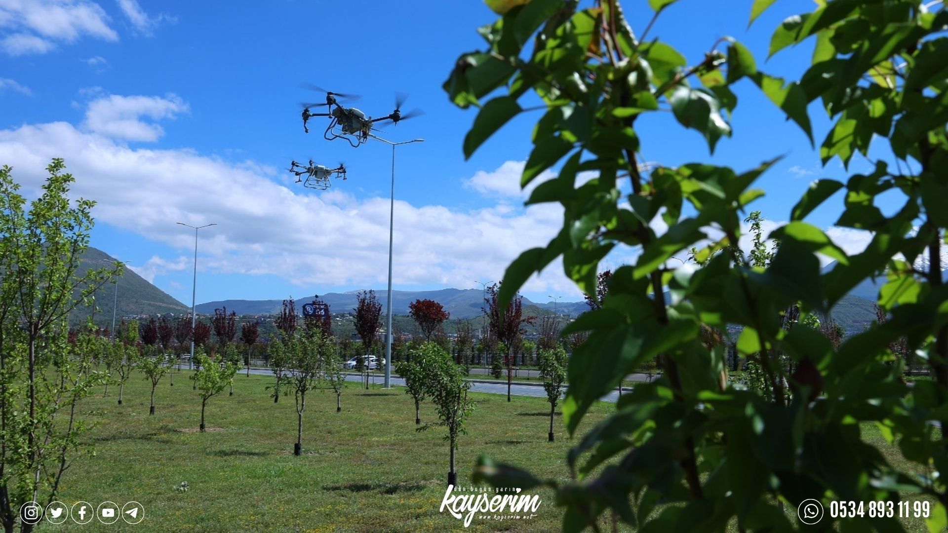 Büyükşehir Belediyesi, yeşil alanları drone ile ilaçlıyor