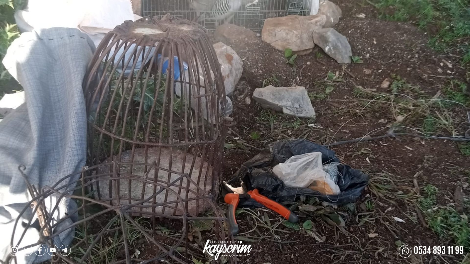 Kayseri’de yasa dışı keklik avı yapan şahıs suçüstü yakalandı