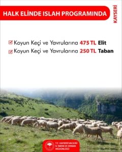 Tarım ve Orman Bakanlığı’ndan Kayseri’de hayvancılığa destek