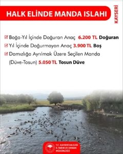 Tarım ve Orman Bakanlığı’ndan Kayseri’de hayvancılığa destek