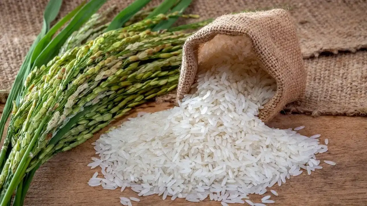 Basmati Pilavı nasıl yapılır?