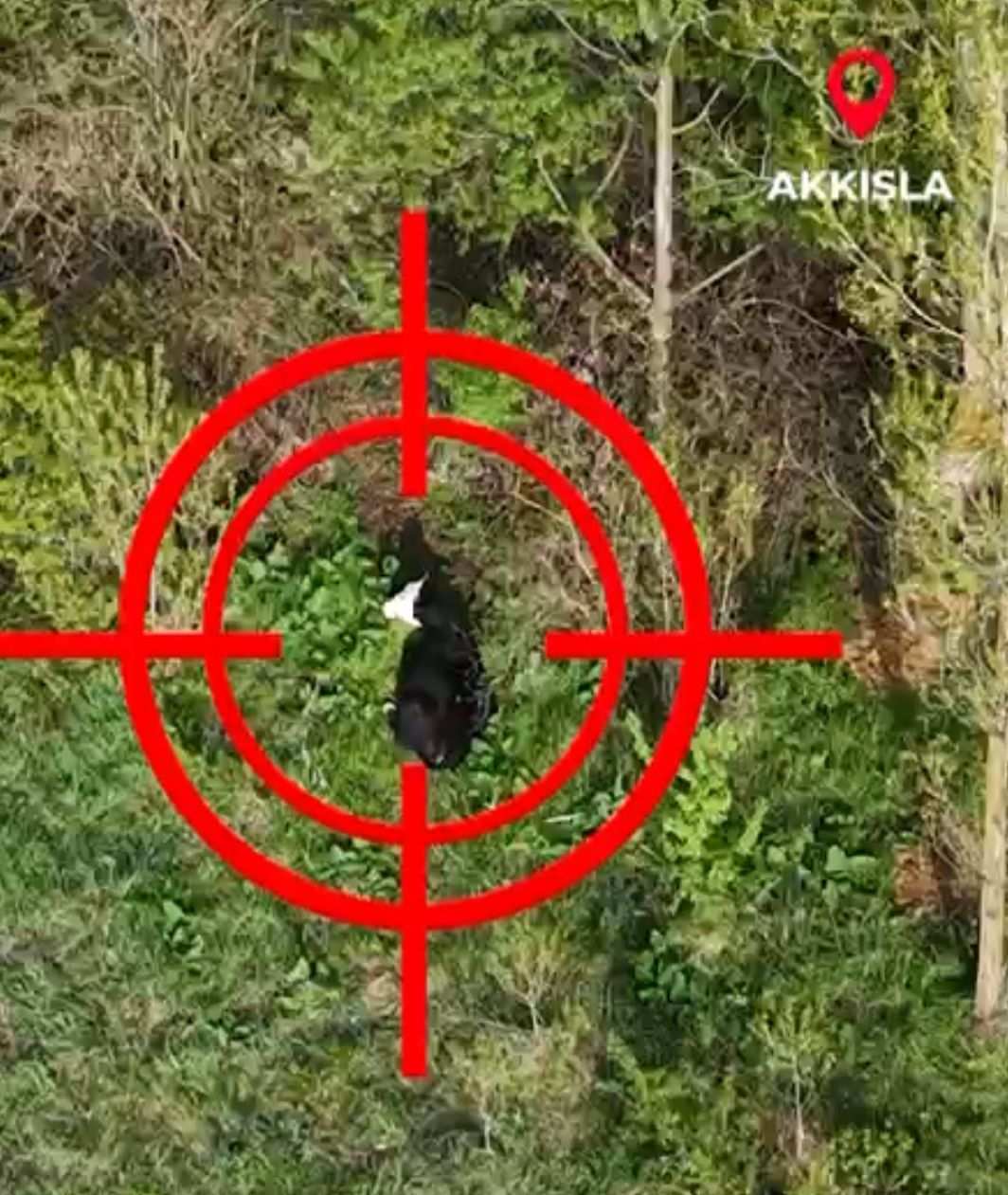 Vatandaşın büyükbaş hayvanı, ALO 153 ekipleri tarafından bulundu
