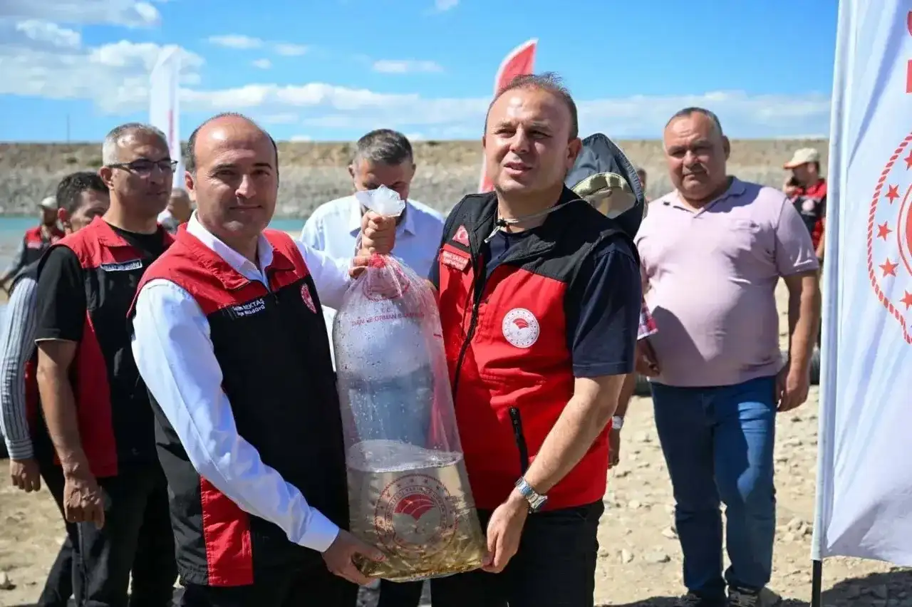 1 milyon yavru sazan suya bırakıldı