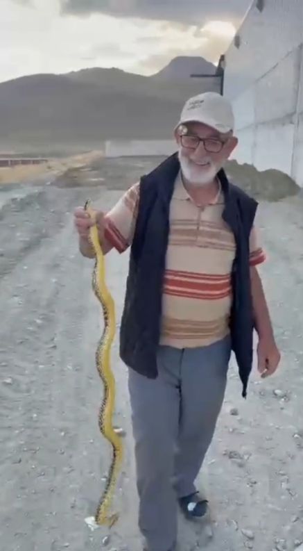 Yeşilhisar’da ay çekirdeği deposunda dev yılan paniği